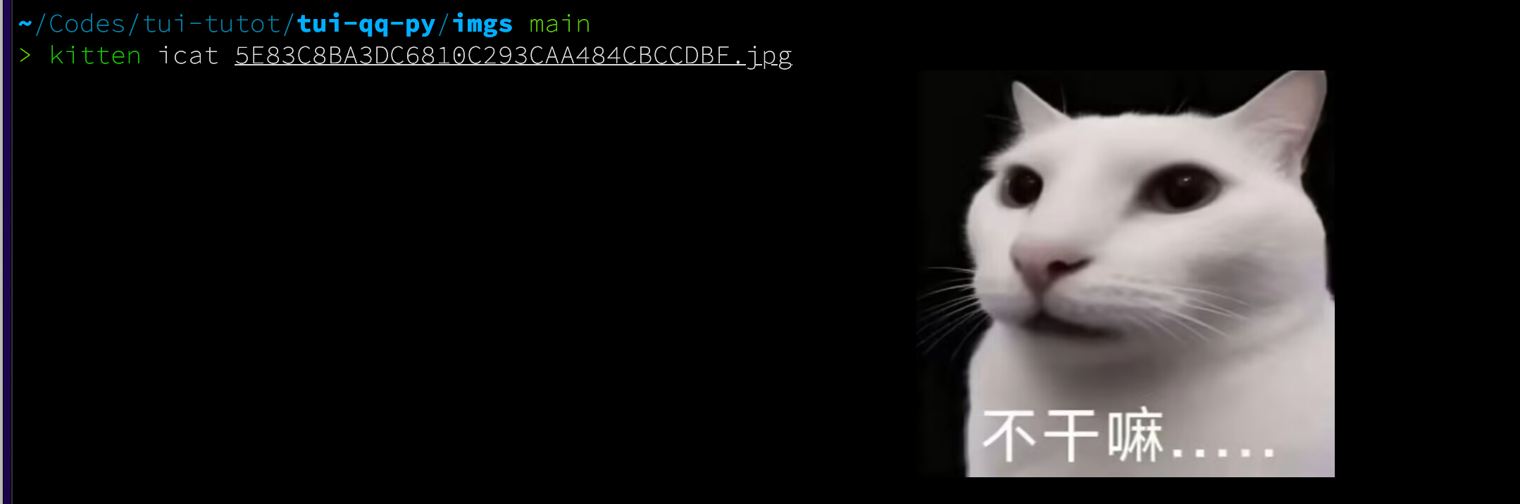 Pasted image 20260125015610.png